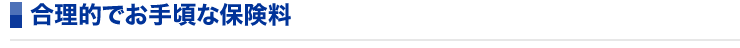 合理的でお手頃な保険料